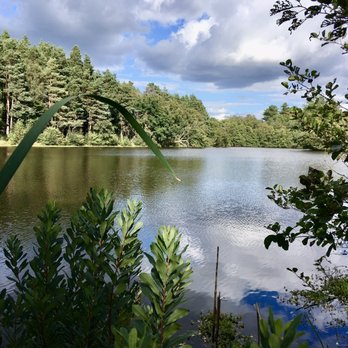 Bagshot Heath - Rapley Lake - Parks Near Me - Bagshot, SRY