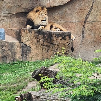 Brookfield Zoo Chicago - Zoos Near Me - Brookfield, Illinois