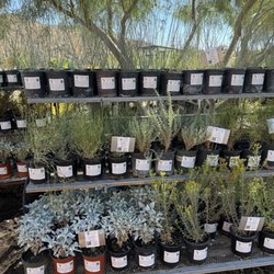 Desert Straw House Native Plant Nursery