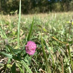Nod Brook Wildlife Management Area - October weather -