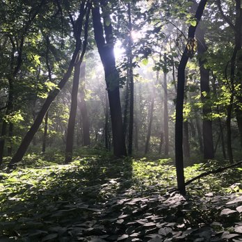 Fontenelle Forest - Some trail about 15 mins into the actual hiking! - Community Service/Non-Profit Near Me - Bellevue, Nebraska