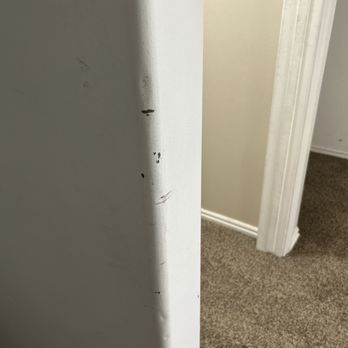 Miracle Movers - Movers Near Me - Salt Lake City, Utah