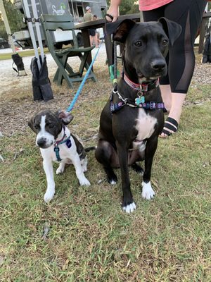 West Ashley Farmers Market by null