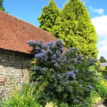 Stanmer Park - A border next to the nursery - Parks Near Me - Brighton, BNH
