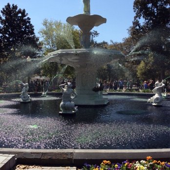 Forsyth Park - Green water for a green day - Parks Near Me - Savannah, Georgia Forsyth Park - Green water for a green day - Parks Near Me - Savannah, Georgia