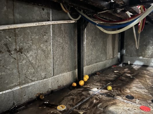 SD Pressure Pros Logo