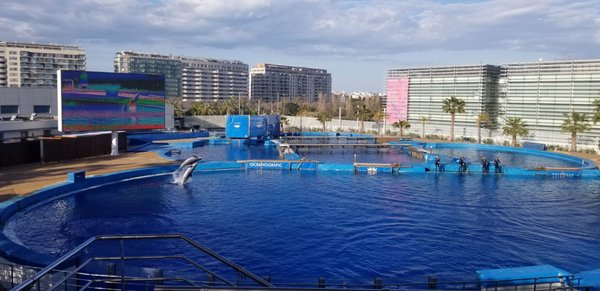 Oceanogràfic València by null