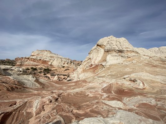 Dreamland Safari Tours by null