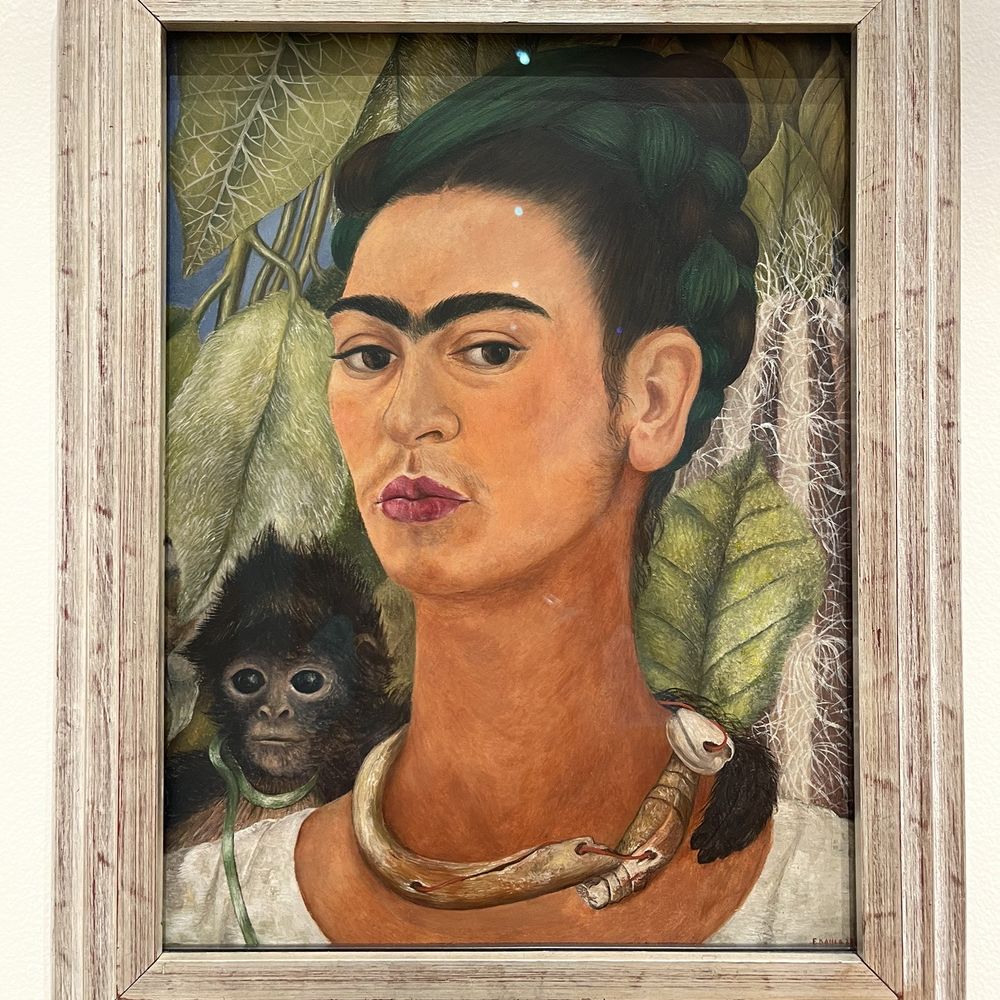 Buffalo AKG Art Museum - Art Galleries Near Me - Buffalo, New York