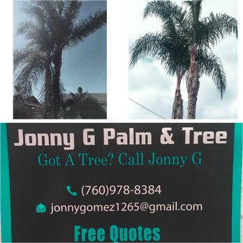 Jonny G Landscape - Before and after of my very neglected Palms. Jonny G did amazing work! - Landscaping Near Me