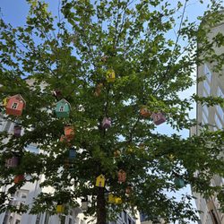 Stadtteil Hamburg-Altstadt
