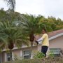 Photo of CPL Tree Service & Landscaping