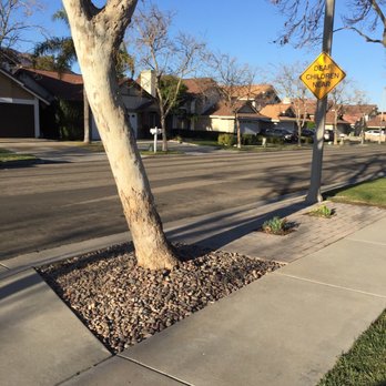Green Landscape - Landscaping Near Me - Corona, California Green Landscape - Landscaping Near Me - Corona, California