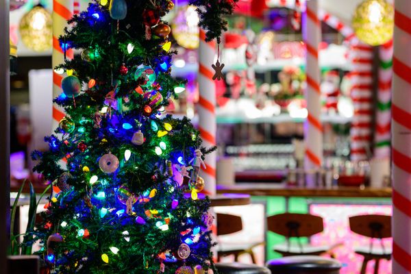 Deck the Halls by null