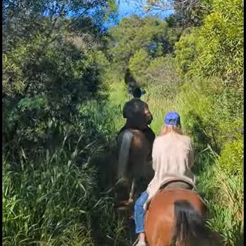 Ironwood Ranch - Horseback Riding Near Me - Lahaina, Hawaii