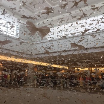 Neiman Marcus - Butterflies - Shoe Stores Near Me - Boca Raton, Florida Neiman Marcus - Butterflies - Shoe Stores Near Me - Boca Raton, Florida