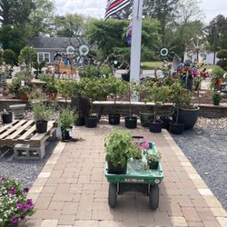 All In Bloom Garden Center & Landscapes - Herbs/flora for sale