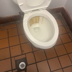 The toilet in the woman restroom