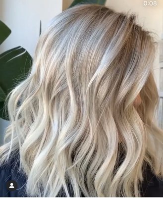 The Blonde Co by null