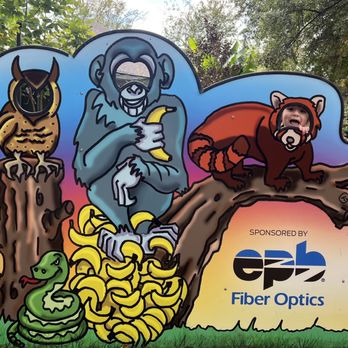Chattanooga Zoo At Warner Park - Amusement Parks Near Me - Chattanooga, Tennessee Chattanooga Zoo At Warner Park - Amusement Parks Near Me - Chattanooga, Tennessee