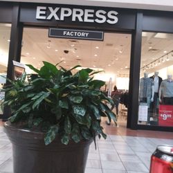 Express Limited