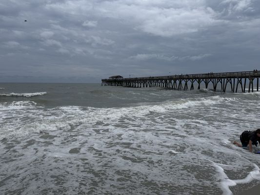 Myrtle Beach State Park by null