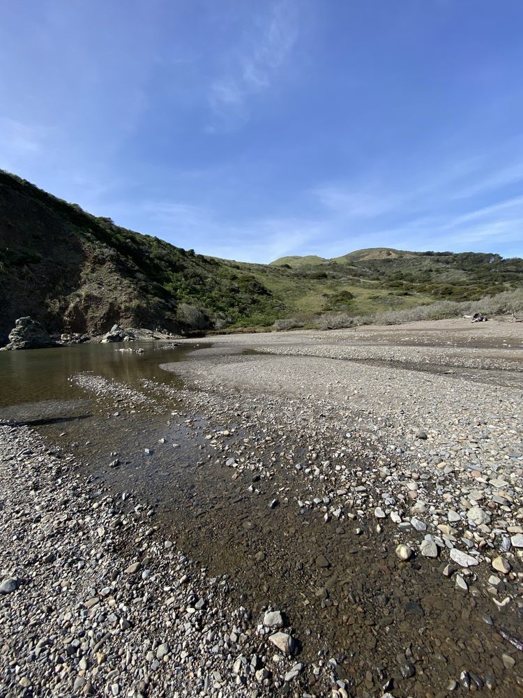 Russian Gulch State Beach Logo