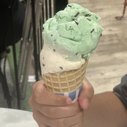 Vincent's Homemade Ice Cream - Mint chocolate chip & vanilla cone waffle