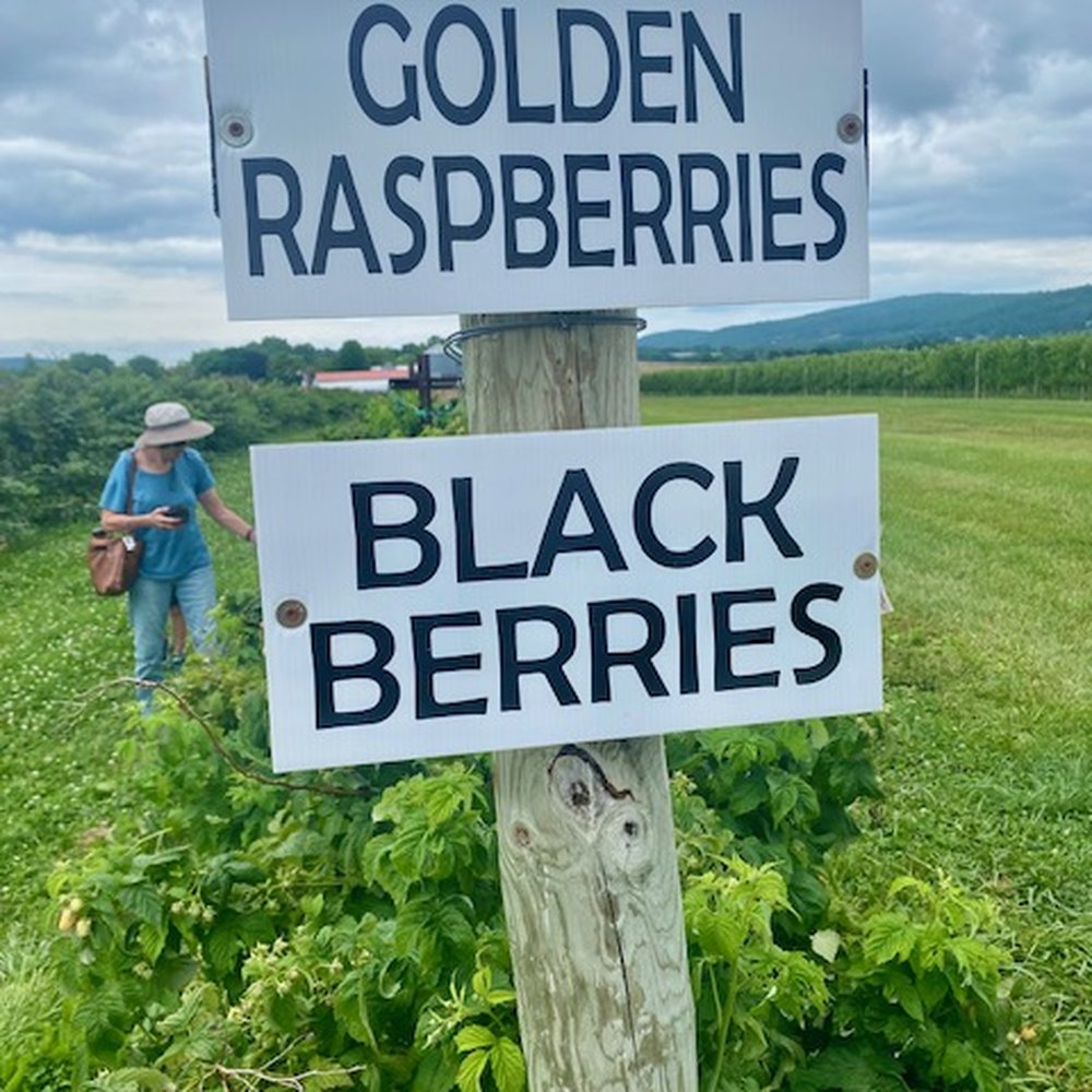 Donaldson Farms - Fruits & Veggies Near Me - Hackettstown, New Jersey
