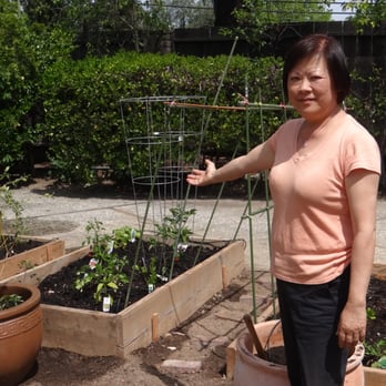 We Start Gardens - A happy patient! - Gardeners Near Me - Milpitas, California We Start Gardens - A happy patient! - Gardeners Near Me - Milpitas, California