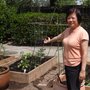 Photo of We Start Gardens