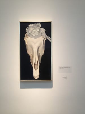 Georgia O'Keeffe Museum by null