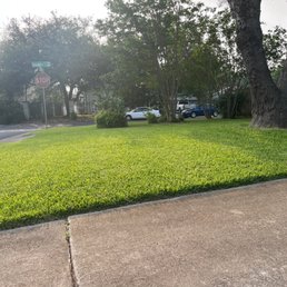 Yard 2 days after service Yard 2 days after service