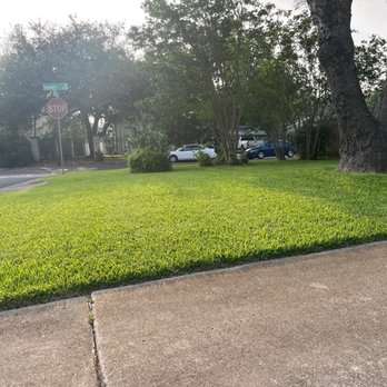 Just Right Lawns - Austin - Yard 2 days after service - Lawn Services Near Me Just Right Lawns - Austin - Yard 2 days after service - Lawn Services Near Me