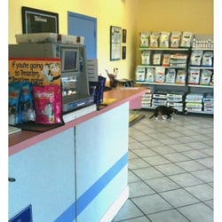 exoticare veterinary services