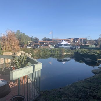 Discovery Records - A pond is located in a landscaped outdoor area, bordered by bushes, rocks, and a railing. The water reflects the sky and nearby surroundings. In the background, there is a parking lot with several cars, a building, and an American flag flying on a flagpole. A white tent and a flag with text are also visible near the parking lot. - Vinyl Records Near Me - Temecula, California