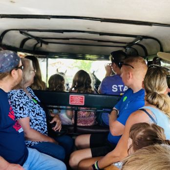 Aaron & Jessica's Buggy Rides - Full carriage - Tours Near Me - Bird in Hand, Pennsylvania Aaron & Jessica's Buggy Rides - Full carriage - Tours Near Me - Bird in Hand, Pennsylvania