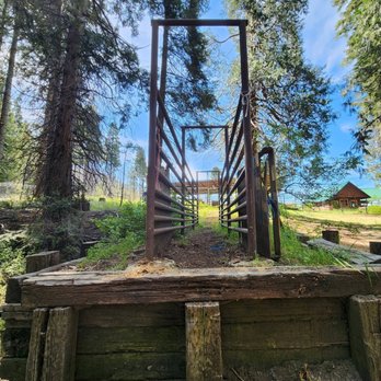 Jackson Road Trail - Jackson Road/Tenaya Loop Trail, Madera County: 2026 May 20 - Hiking Near Me - Fish Camp, California Jackson Road Trail - Jackson Road/Tenaya Loop Trail, Madera County: 2026 May 20 - Hiking Near Me - Fish Camp, California