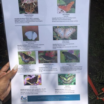 Chattahoochee Nature Center - Butterfly Encounter Menu - Botanical Gardens Near Me - Roswell, Georgia