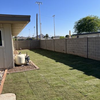 Divine Design Landscaping - The image shows a backyard with a neatly mowed lawn bordered by a brick edge, adjacent to a concrete patio area. A small building or shed with siding is visible on the left, with a propane tank and some equipment nearby. The yard is enclosed by a tall cinder block wall, and utility poles with lights are seen in the background. The sky is clear and bright blue, with a few trees and distant mountains visible beyond the wall. - Landscaping Near Me - Phoenix, Arizona