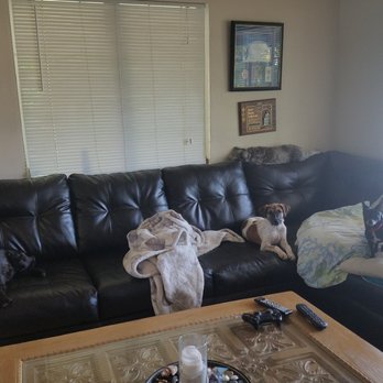 We Love Pets - Furry friends - Pet Sitting Near Me We Love Pets - Furry friends - Pet Sitting Near Me