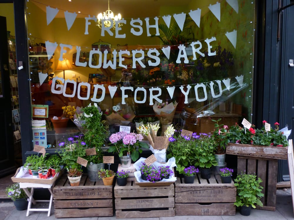 GINGERLILY FLOWERS Updated August 2024 20 Photos 127 Newington