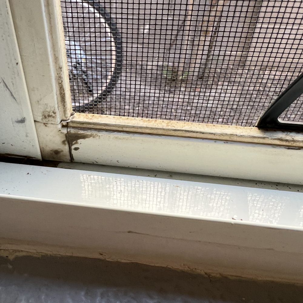 Sunset Views Window Cleaning - Spare bedroom and track - Window Washing Near Me - Sahuarita, Arizona
