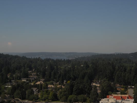 The Shops At The Bravern by null