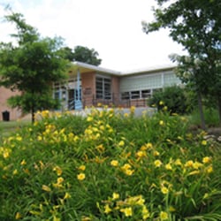 Madison Community Center & Park