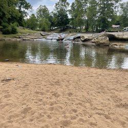 From the beech