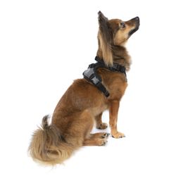 Hexcorp - TransPaw Gear Happy Harness Side View