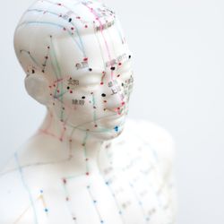 Kim Acupuncture - Body Work