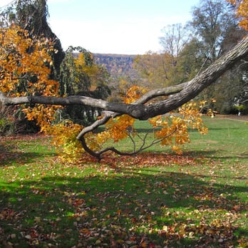 The Cafe at Wave Hill - Venues & Event Spaces Near Me - Bronx, New York