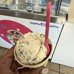 Mint Chocolate Chip